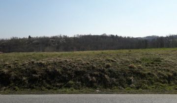 Działka rolno-budowlana Nieszkowice Wielkie