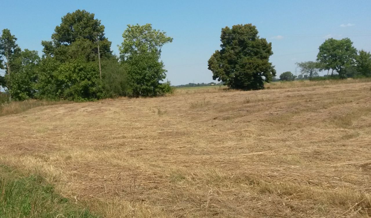 Działka rolno-budowlana Mostkowo. Zdjęcie 4
