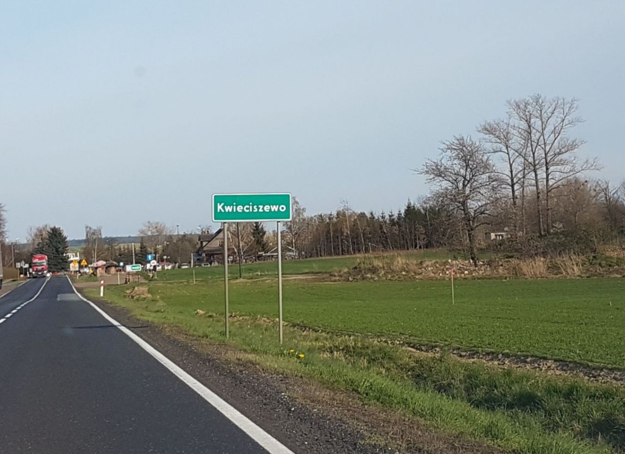 Działka inwestycyjna Kwieciszewo. Zdjęcie 5