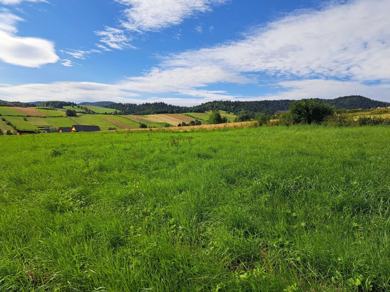 Działka budowlana Bukowiec. Zdjęcie 5