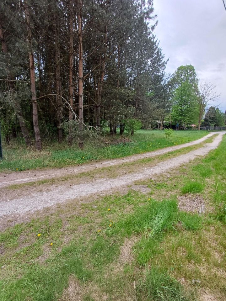 Działka rolno-budowlana Ciężkowiczki. Zdjęcie 7