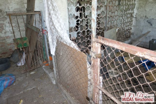 dom wolnostojący, 3 pokoje Czaple. Zdjęcie 27