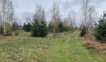 Działka budowlana Korzyce