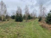 Działka budowlana Korzyce