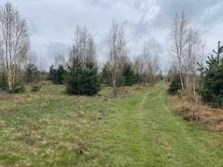 Działka budowlana Korzyce