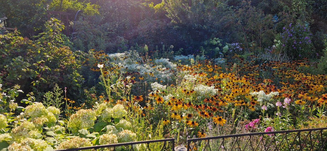 Działka rod Sosnowiec Milowice. Zdjęcie 5