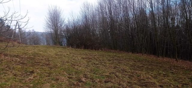 Działka budowlana Międzybrodzie Bialskie. Zdjęcie 1