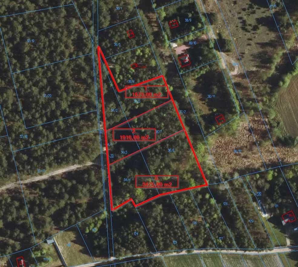 Działka rekreacyjna Wólka-Wojciechówek, ul. Akacjowa. Zdjęcie 7