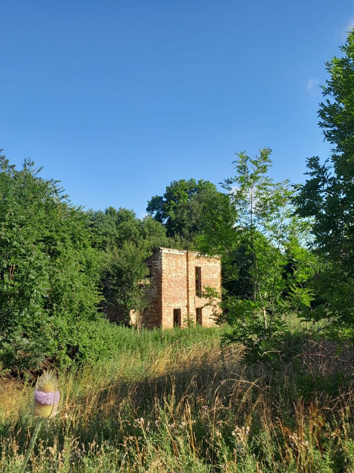 Działka siedliskowa Borkowice. Zdjęcie 16