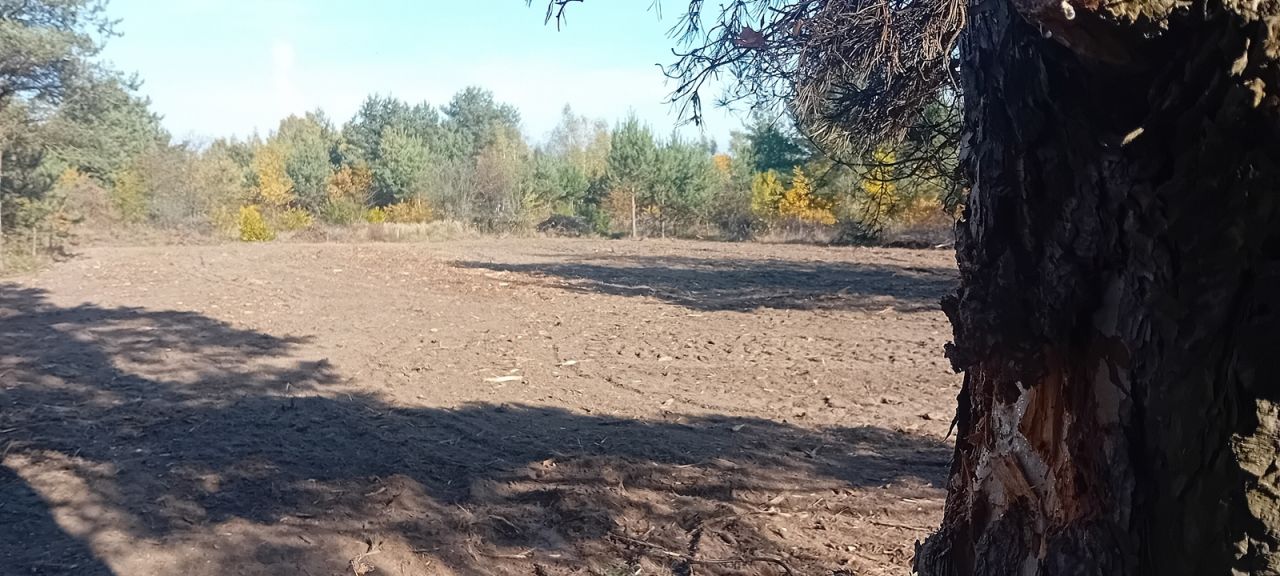 Działka budowlana Słubica Dobra, ul. Graniczna. Zdjęcie 4