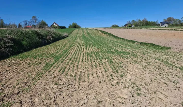Działka rolna Sobiesęki