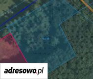 Działka budowlana Jankowice. Zdjęcie 4