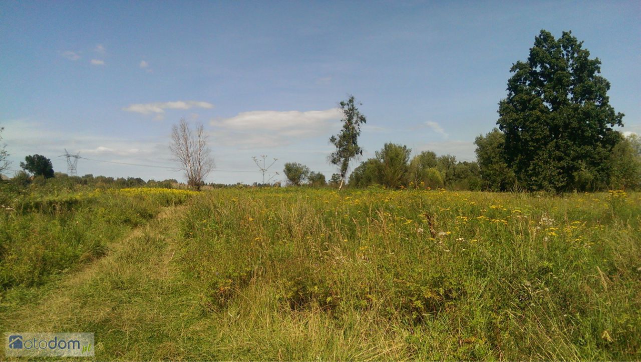 Działka rekreacyjna Kopanka Pierwsza. Zdjęcie 9