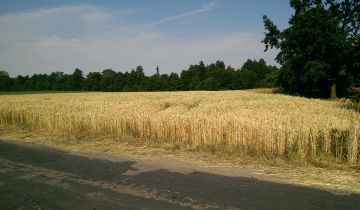 Działka inwestycyjna Janinów