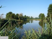 siedlisko, 6 pokoi Gadki. Zdjęcie 2