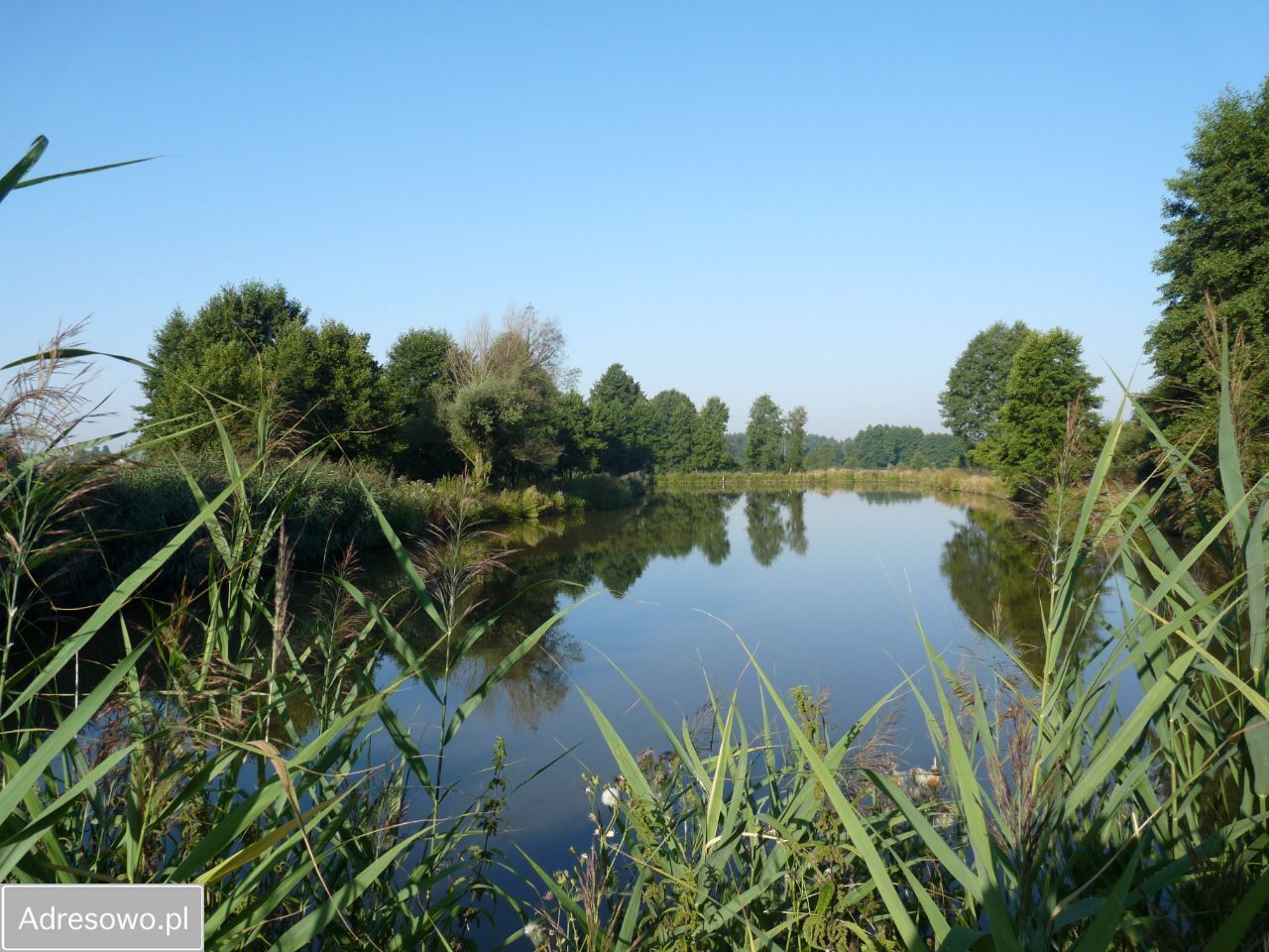 siedlisko, 6 pokoi Gadki. Zdjęcie 3