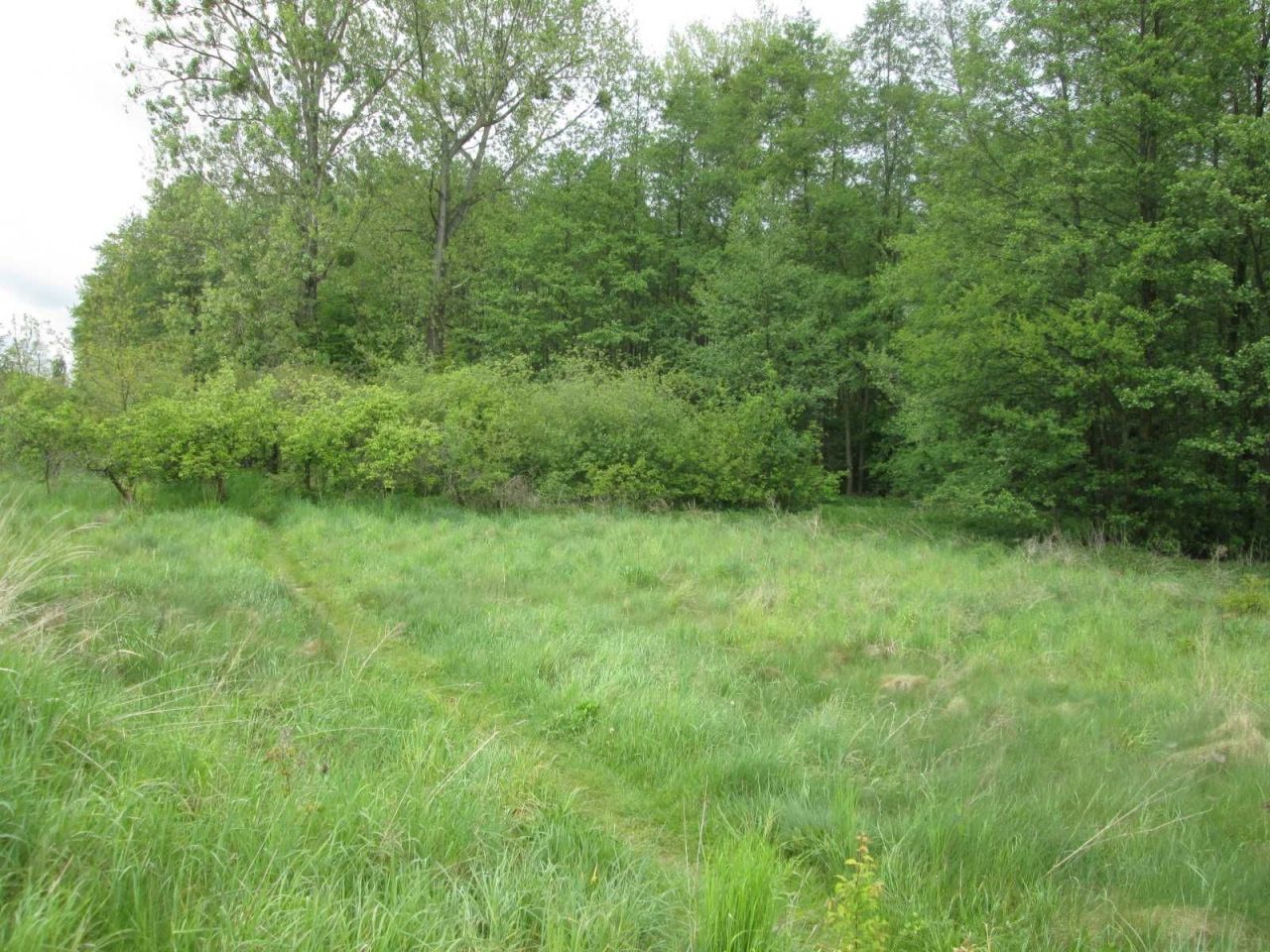 Działka rolna Krępa Górna. Zdjęcie 4