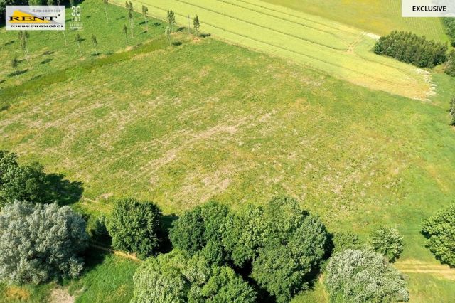 Działka inwestycyjna Ninikowo. Zdjęcie 5