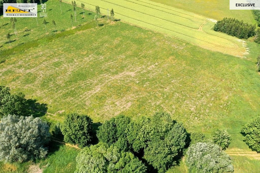 Działka inwestycyjna Ninikowo. Zdjęcie 5