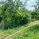 Działka rod Konin Zatorze, ul. Ignacego Paderewskiego. Zdjęcie 8