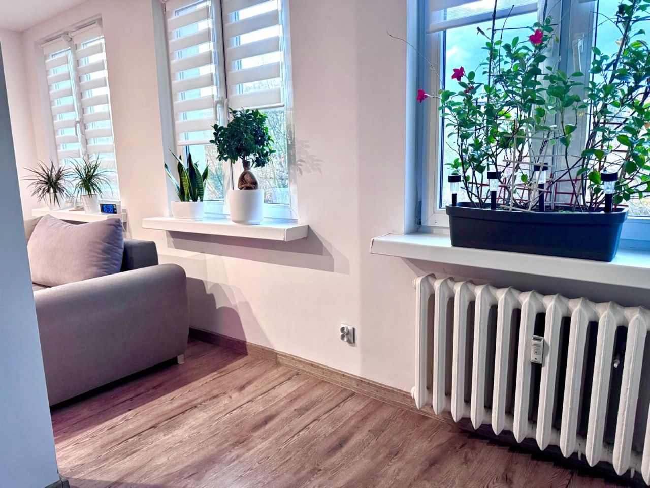 Mieszkanie 3-pokojowe Ostrowiec Świętokrzyski, ul. Jana Kochanowskiego. Zdjęcie 3