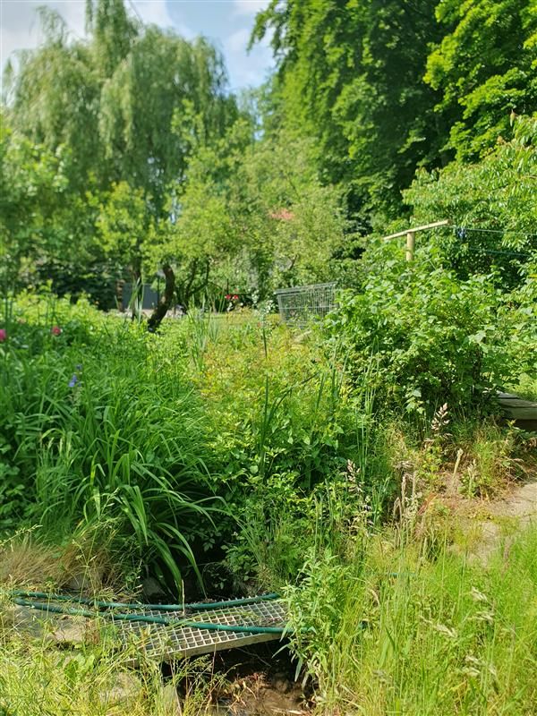 dom wolnostojący, 6 pokoi Gdańsk Wrzeszcz, ul. Jaśkowa Dolina. Zdjęcie 12