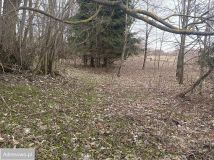 Działka budowlana Niedamirów. Zdjęcie 3