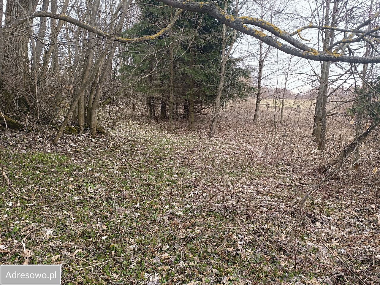 Działka budowlana Niedamirów. Zdjęcie 4