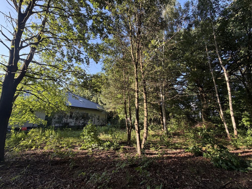 Działka budowlana Arciechów Myszyniec. Zdjęcie 1