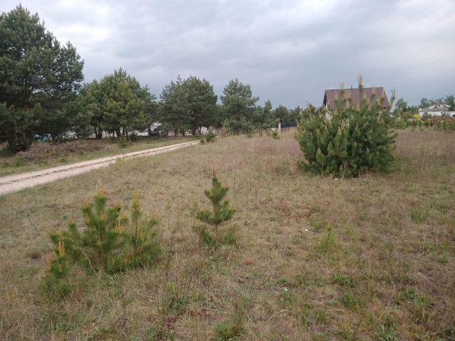 Działka budowlana Podole, ul. Sosnowa. Zdjęcie 1