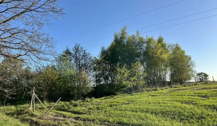 Działka budowlana Niedalino