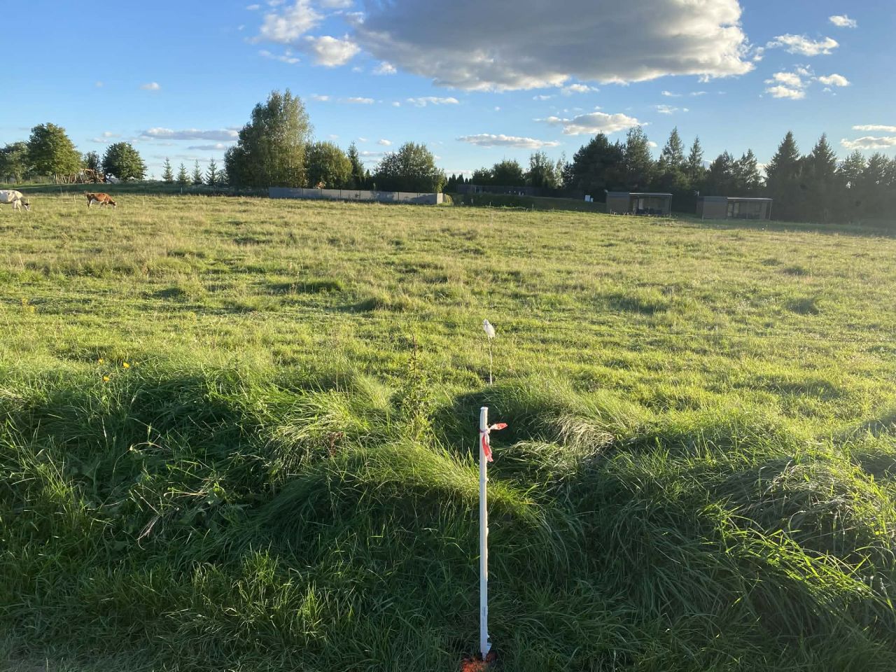 Działka budowlana Jeziorowskie, Jeziorowskie. Zdjęcie 6