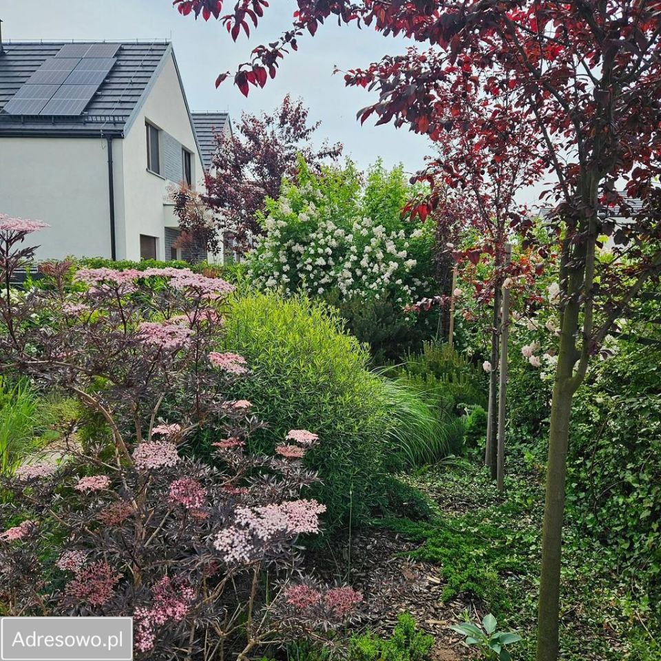 bliźniak, 5 pokoi Karwiany. Zdjęcie 9