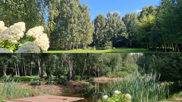 Działka budowlana Starzykowo. Zdjęcie 10