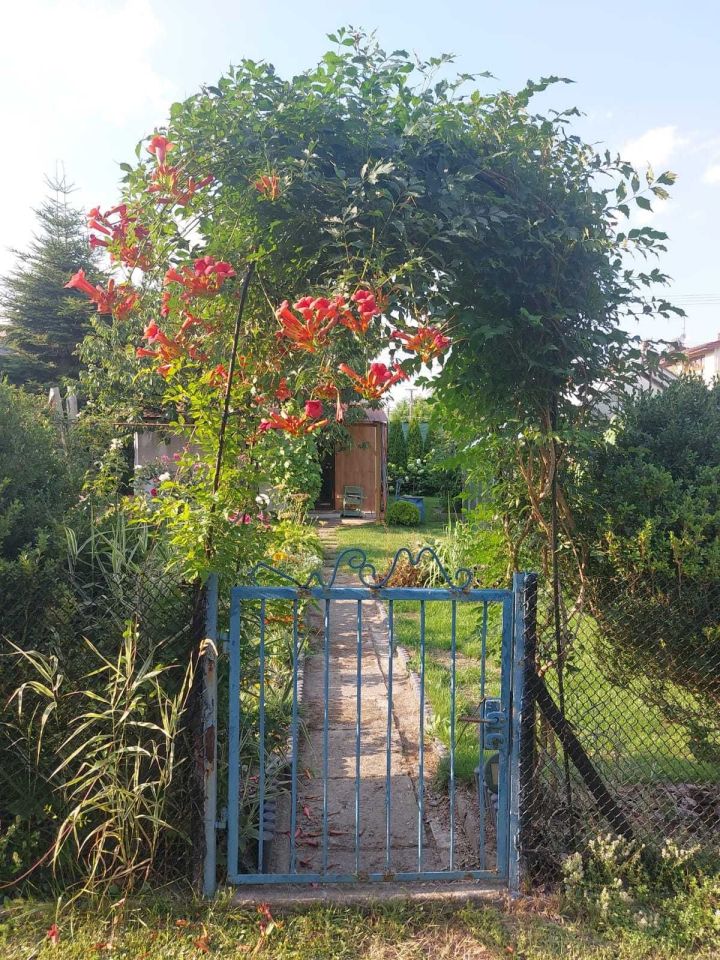 Działka rod Tomaszów Mazowiecki, ul. Wierzbowa. Zdjęcie 3