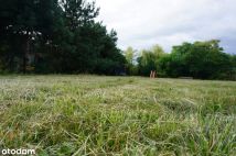 Działka siedliskowa Siemienice. Zdjęcie 1