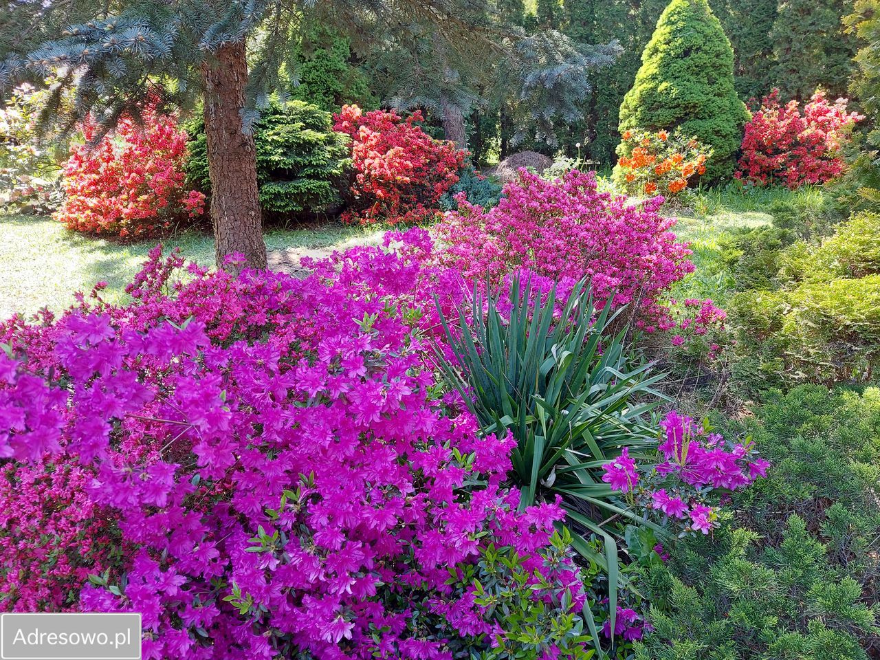 Działka rod Krępa, ul. Długa. Zdjęcie 11