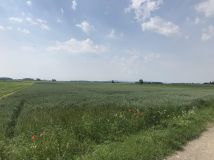Działka budowlana Kurów. Zdjęcie 1