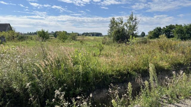 Działka rolno-budowlana Skaryszew, ul. Krótka. Zdjęcie 1