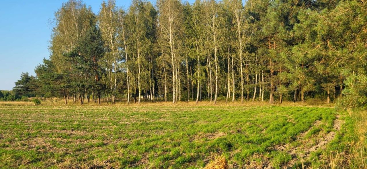 Działka budowlana Lubiaszów Nowy Lubiaszów. Zdjęcie 6