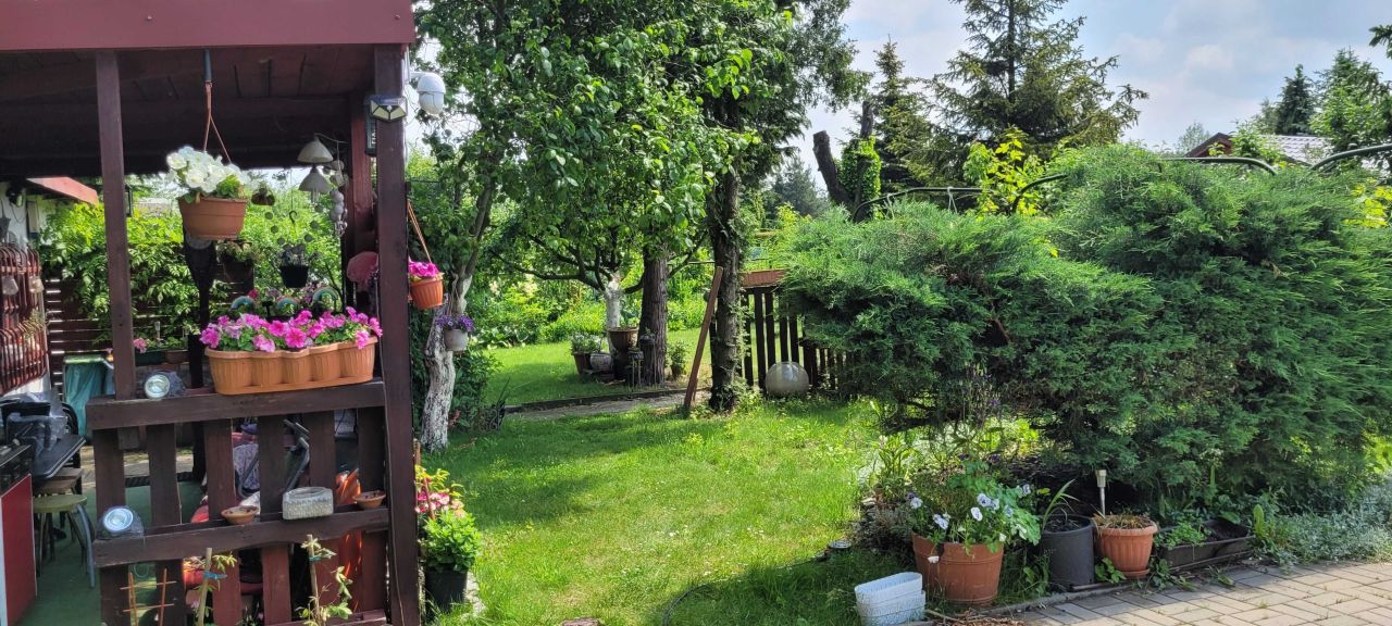 Działka rod Ruda Śląska Kochłowice. Zdjęcie 2