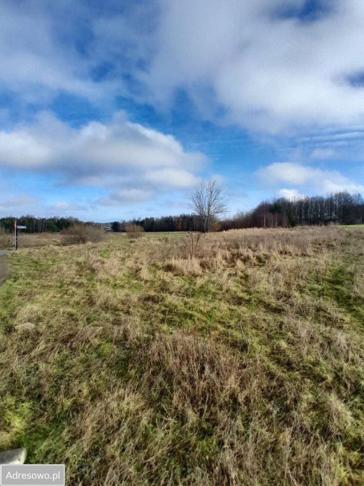 Działka budowlana Barniewice. Zdjęcie 3
