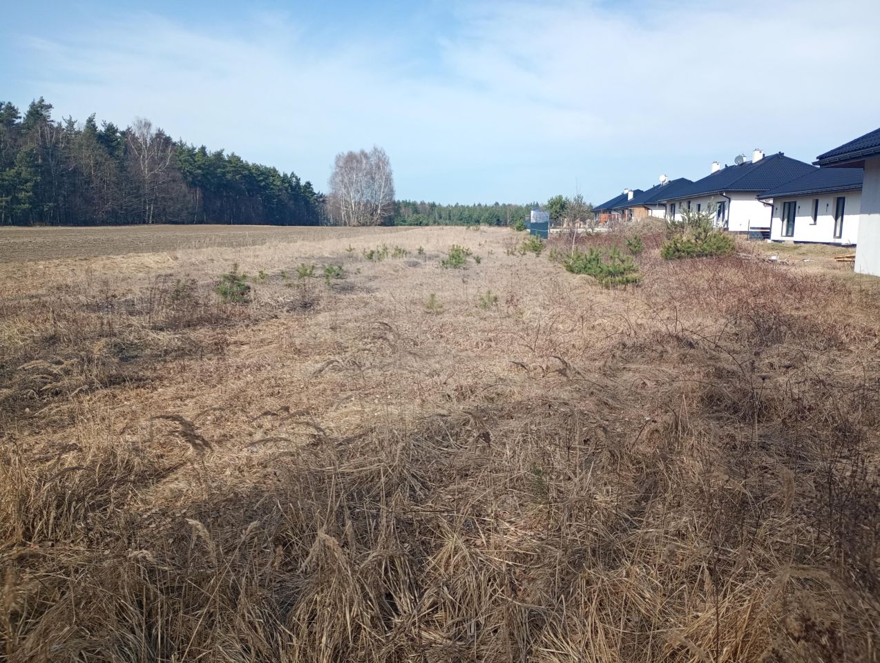 Działka rolno-budowlana Aleksandria Aleksandria Druga, ul. Gwiezdna. Zdjęcie 9