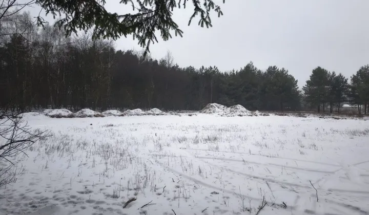 Działka inwestycyjna Kolonia Głowa, ul. Główna