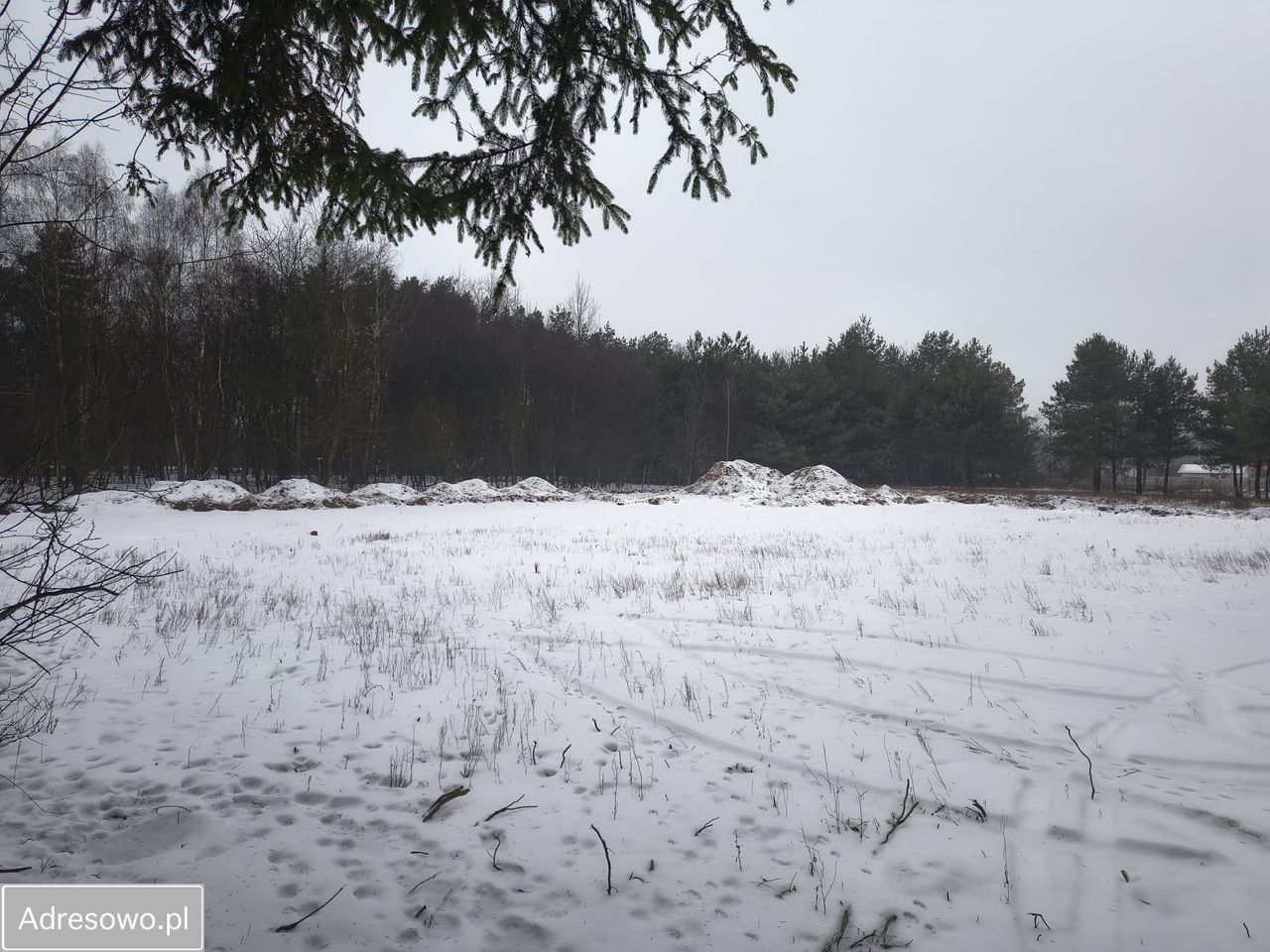 Działka inwestycyjna Kolonia Głowa, ul. Główna. Zdjęcie 1