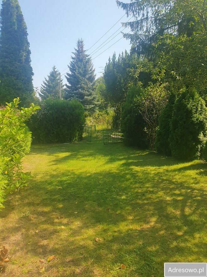 Działka rod Poznań, ul. Pusta. Zdjęcie 8