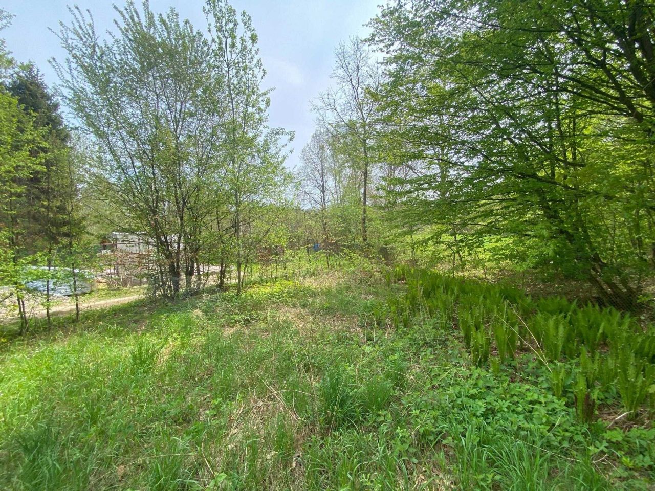 Działka rod Warzenko, ul. Działkowa. Zdjęcie 3