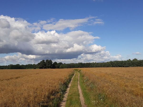 Działka budowlana Gąbin. Zdjęcie 5