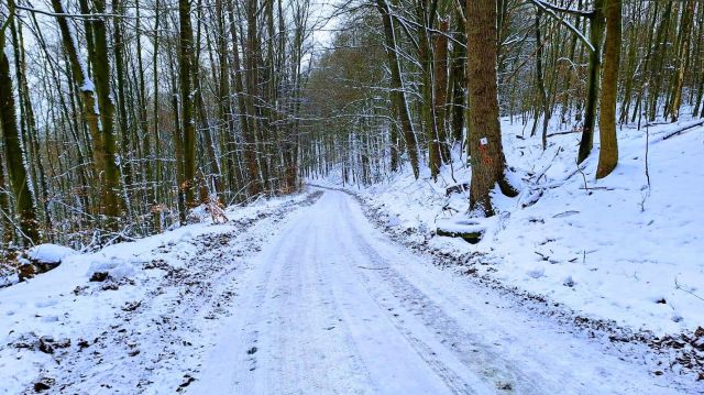 dom wolnostojący, 3 pokoje Czarnkowie. Zdjęcie 18