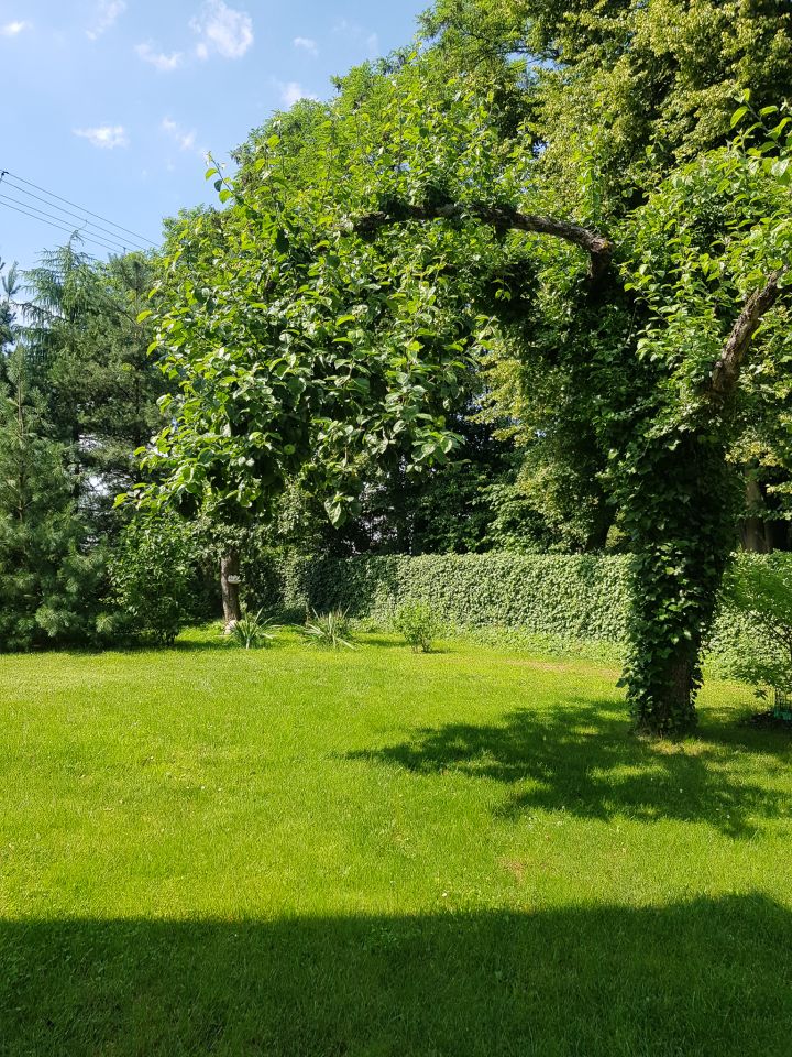 dom wolnostojący, 3 pokoje Skuły, ul. Okrężna. Zdjęcie 7